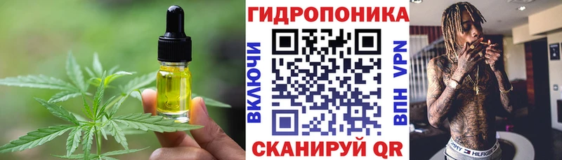 Купить закладки  Киренск  Cannafood конопля 